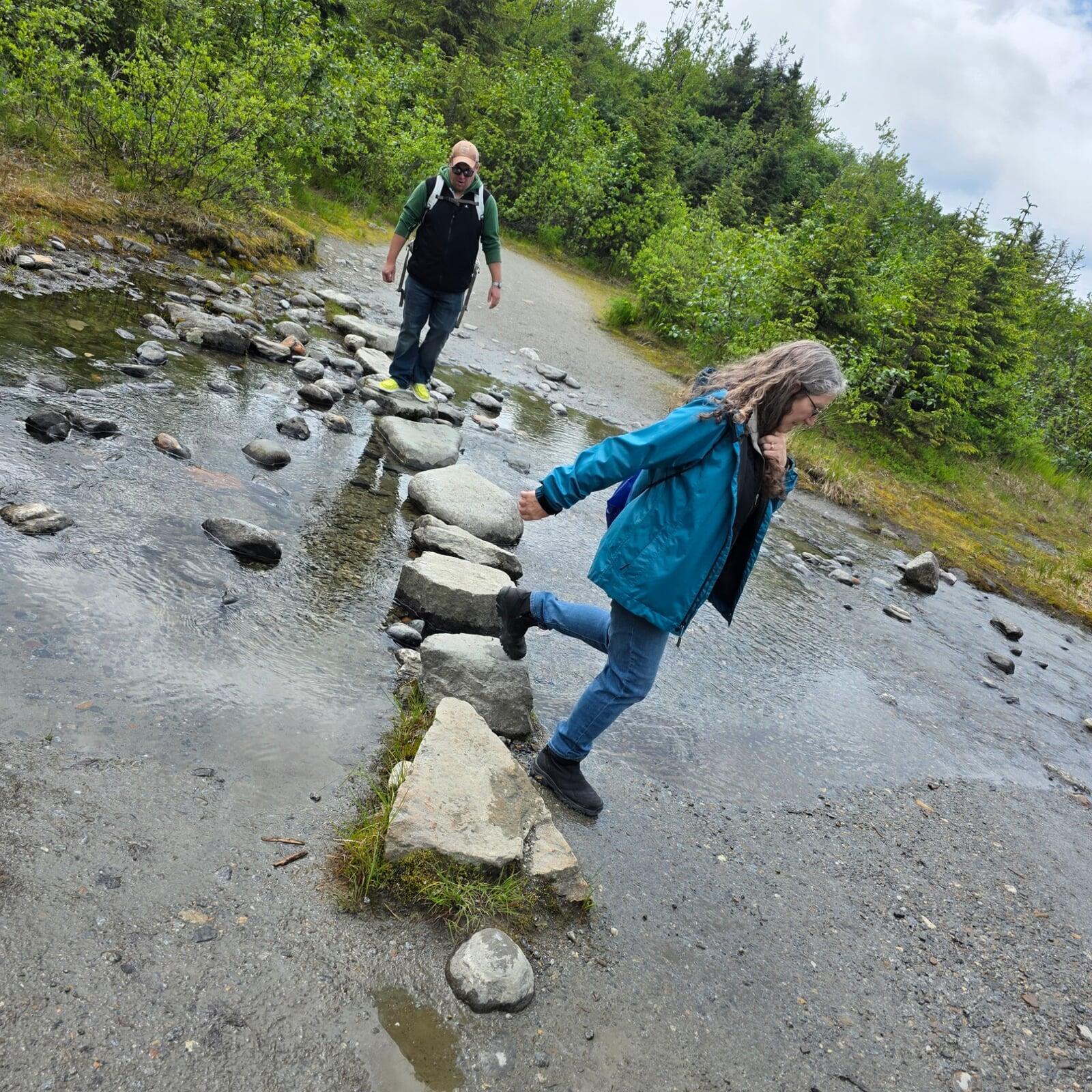Mendhall Glacier & Nugget Falls